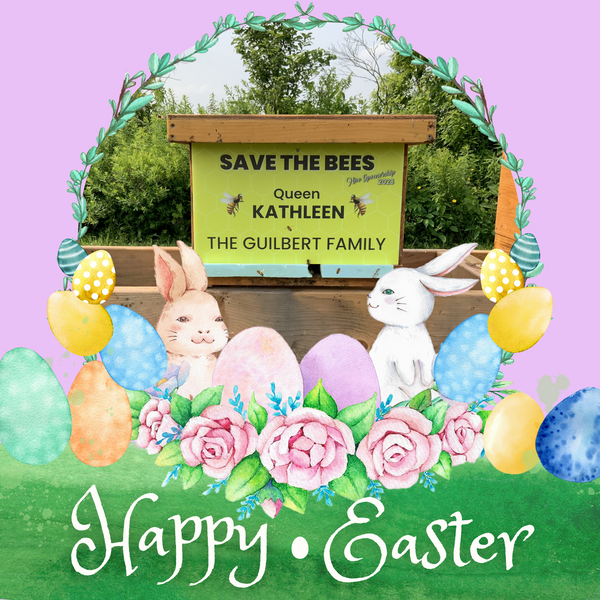 2025 Hive Sponsorship