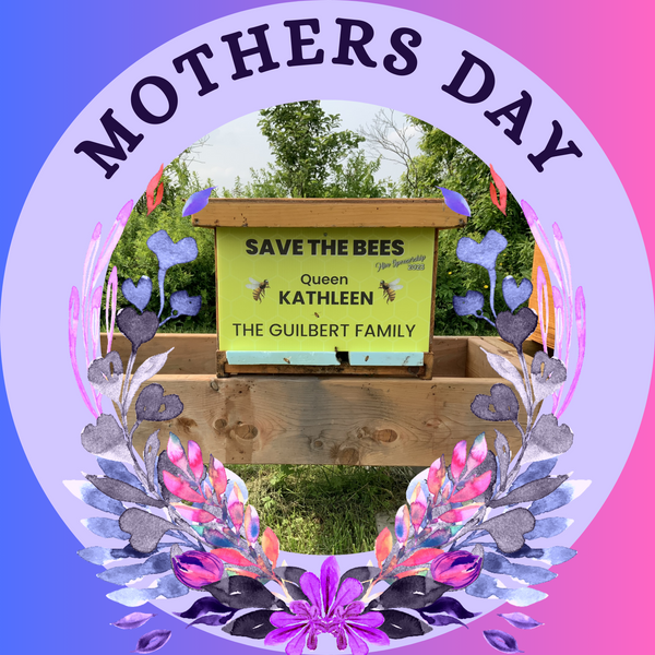 2025 Hive Sponsorship