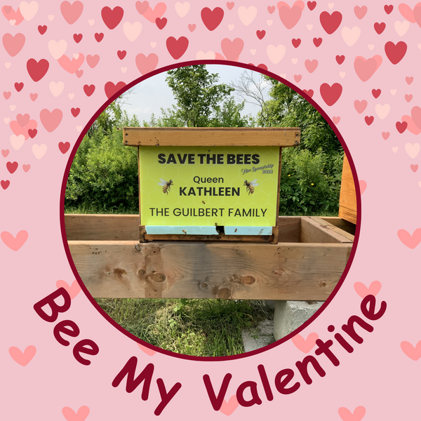 2025 Hive Sponsorship