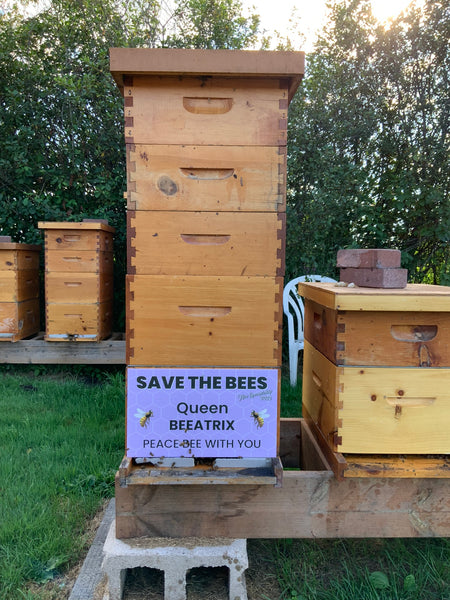 2025 Hive Sponsorship