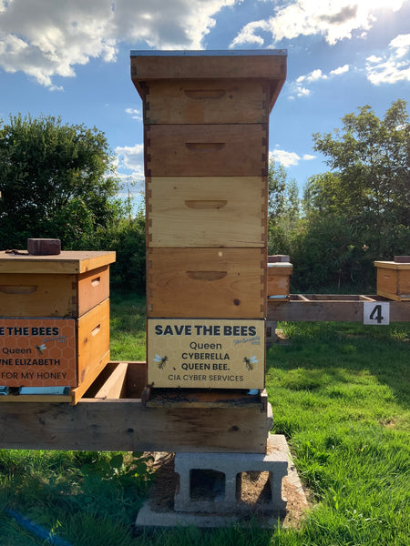 2025 Hive Sponsorship