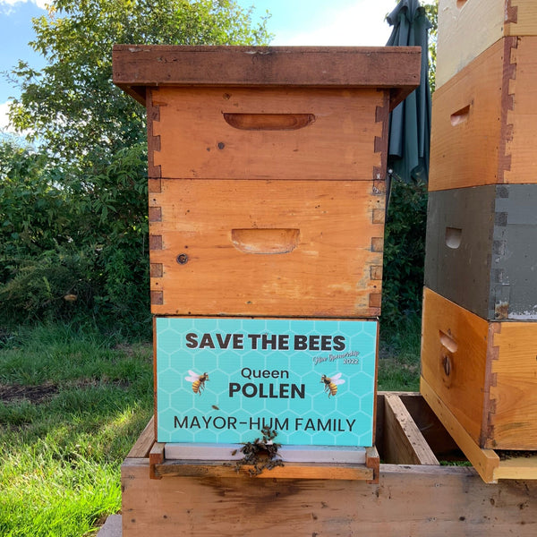 2025 Hive Sponsorship