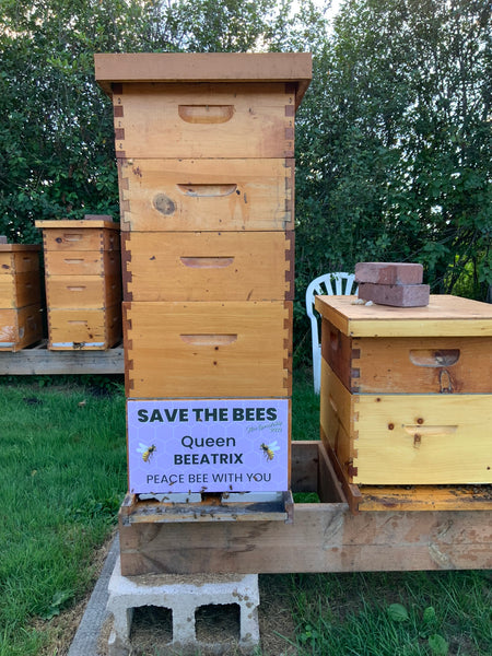 2025 Hive Sponsorship