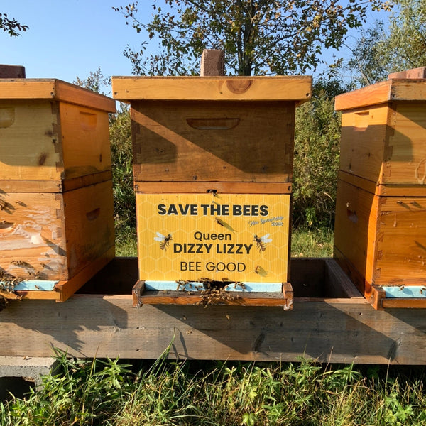 2024 Hive Sponsorship
