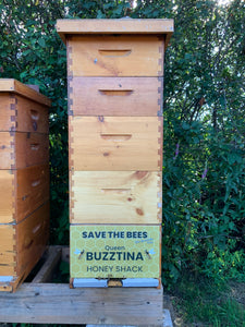 2023 Hive sponsorship -Help save the bees!