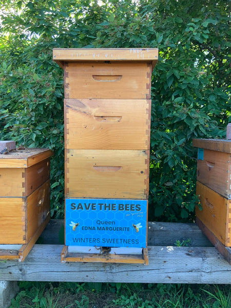 2024 Hive Sponsorship